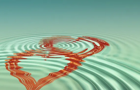 캐솔로 카지노 지원